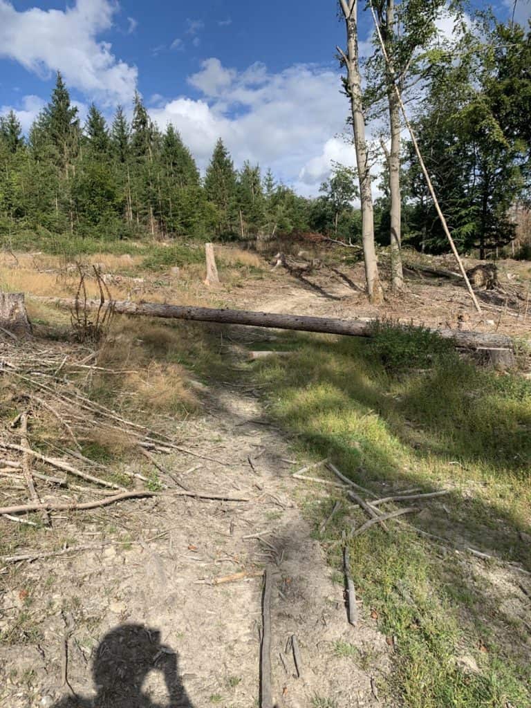 Baumstamm versperrt den Weg